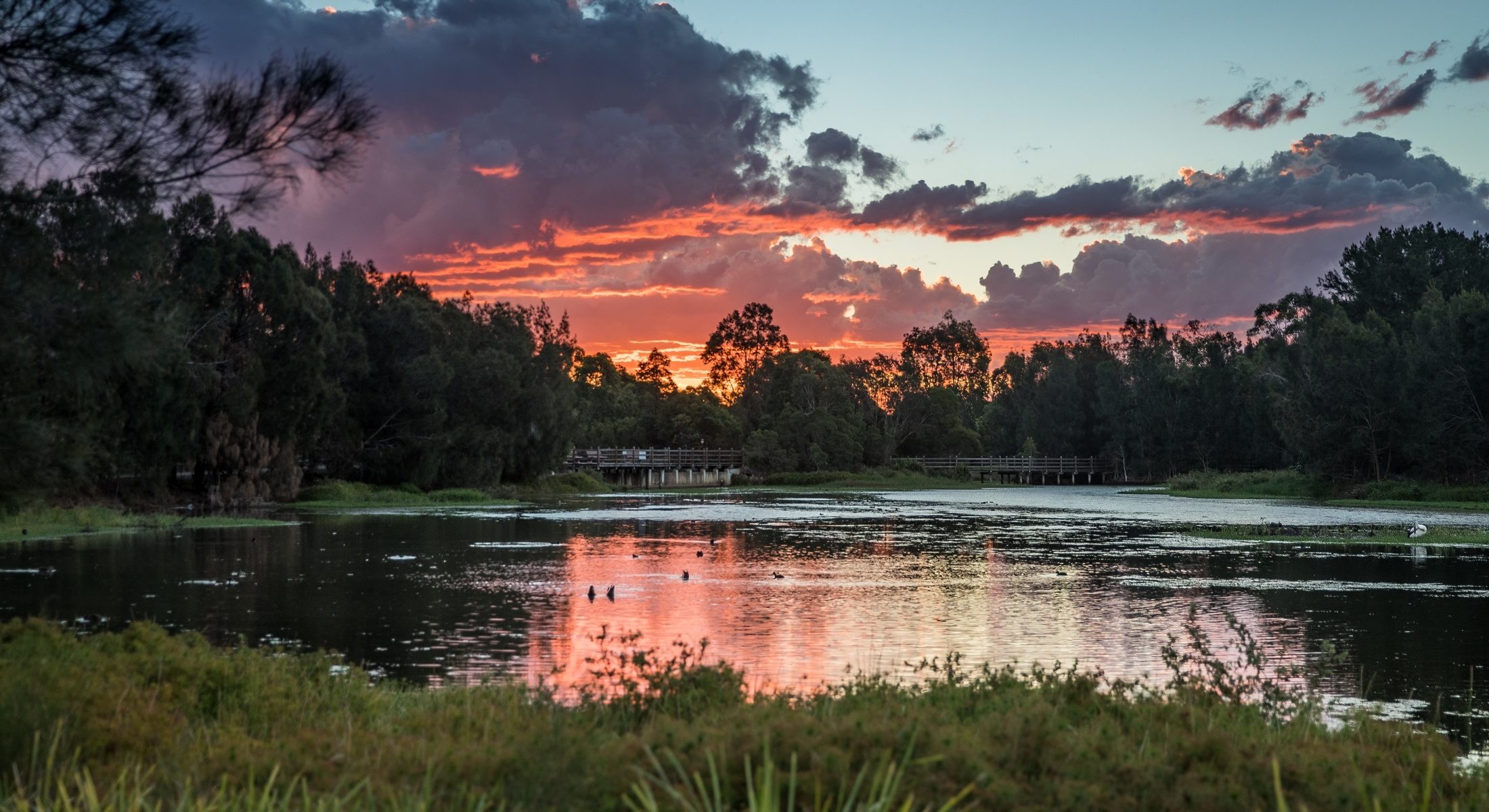 Lake Eden is a lovely place to take in a Moreton Bay Region sunset