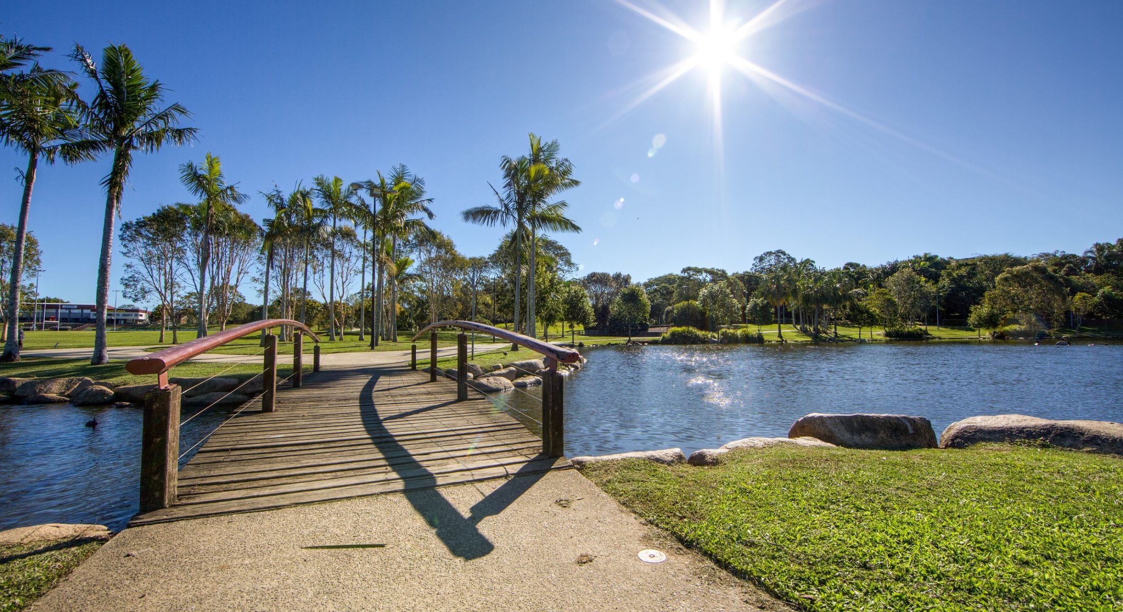 Accessible bridges and paths circle Centenary Lakes at Caboolture