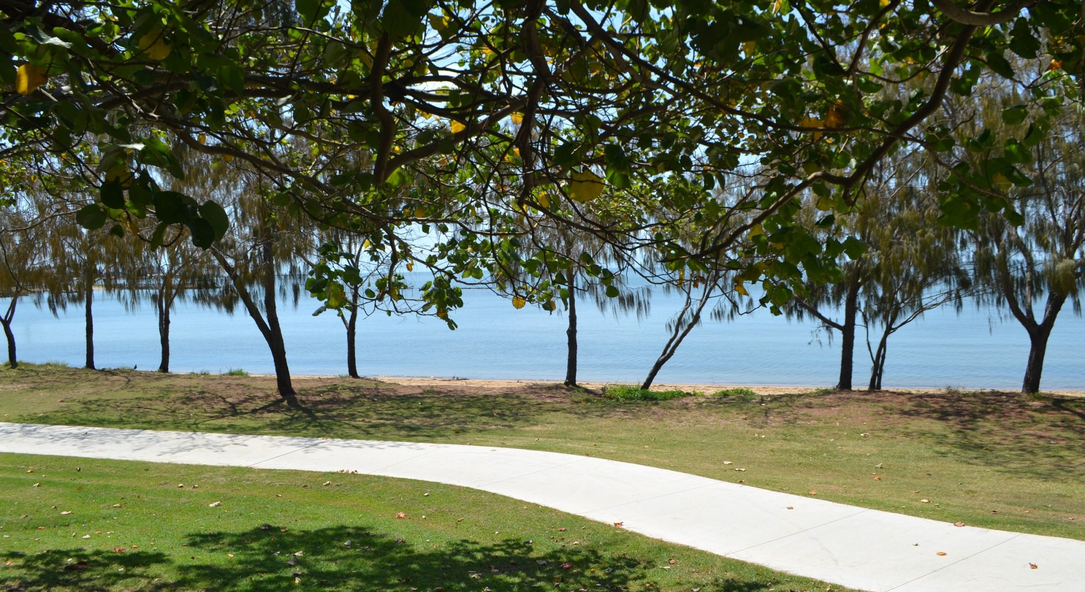 Accessible pathways link Pelican Park with Clontarf Beach and Woody Point Jetty
